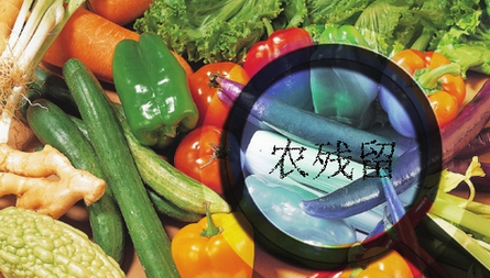 農藥殘留檢測儀結果無法上傳是什么原因？農藥殘留檢測儀的故障排除方法